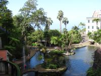 Monte - Tropischer Garten