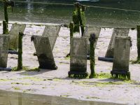 Austernkörbe in Riec-sur-Bélon