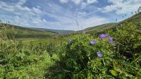 Brecon Beacons Nationalpark