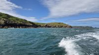 Skomer Island