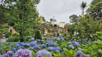 Portmeirion