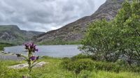 Eryri Nationalpark / Snowdonia