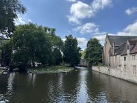 Die Langhälse von Brügge