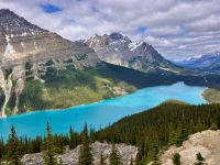 Der wunderschoene Peyto Lake auf der Gletscher Parkstrasse