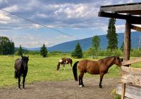 Auf dieser Ranch gibt es ein tolles BBQ