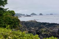 Die Broken Islands bei Ucuelet ein Kanu-Paradies