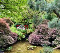 Die rote Gluecks-Bruecke 