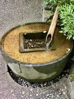 Natur und Mensch vereint 