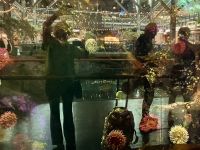 OK Ciaoooo Vancouver wir fliegen wieder Heim 