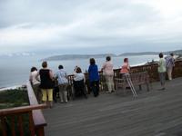 Plettenberg Bay