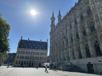 Rathaus von Löwen