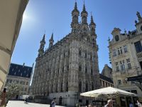 Leuven oder Löwen
