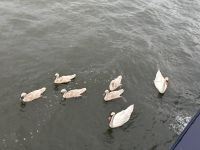 Besuch am Schiff