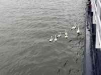 Besuch am Schiff