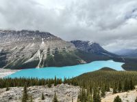 Peyto Lake, Alberta