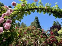 Rosengarten, Butchart Gardens, Victoria 