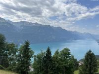 Sicht auf den Brienzersee