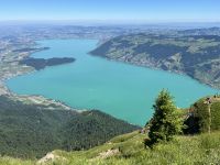 Ausblick vom Gipfel der Rigi