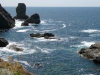 Ausblick für Sarah (Bernard) von ihrem Privatgrundstück auf der Belle Ile