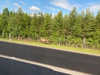 20250620_5 erster sichtbarer Beweis.jpg