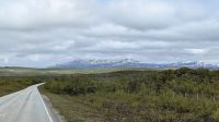 20250621_6 Auf dem Weg nach Lakselv.jpg