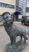 20250621_10 Bamse.jpg