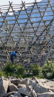20250624_10 Stockfischernte.jpg