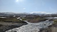 20250625_16 Auf dem Saltfjell.jpg