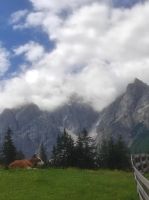 Almkuh & Bergkulisse