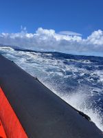 Azoren - Faial, Walbeobachtung