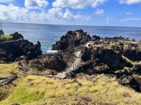 Azoren - Pico Island