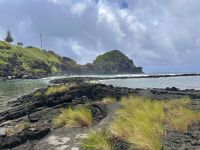 Azoren - Pico Island