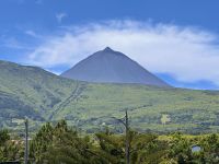 Azoren - Pico Island