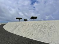 Azoren - Pico Island