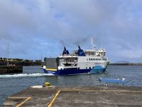 Azoren - Pico Island