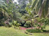 Azoren - Sao Miguel, Botanischer Garten