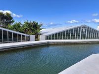 Azoren - Sao Miguel, Ananasplantage