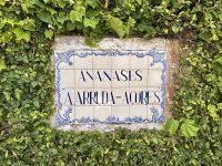 Azoren - Sao Miguel, Ananasplantage