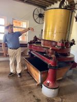 Azoren - Sao Miguel, Teeplantage