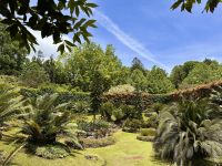 Azoren - Sao Miguel, Park Terra Nostra