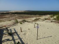 Nida, Blick über die Düne