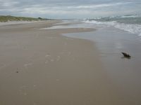 Kurische Nehrung, Ostseeküste...