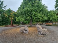 Freilichtmuseum Skansen 