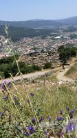 Spanien, Castro Dorf, Santa Trega