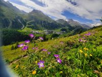 Blick auf Obergurgl