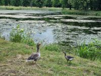 Drottningholm - Schlosspark 