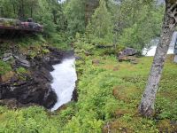 Gudbrandsdjuvet