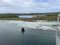 Weiterfahrt von Brønnøysund