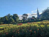 Rosengarten Tralee