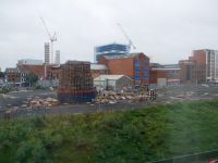 Der Palettenturm für's Bonfire zum Oraniertag